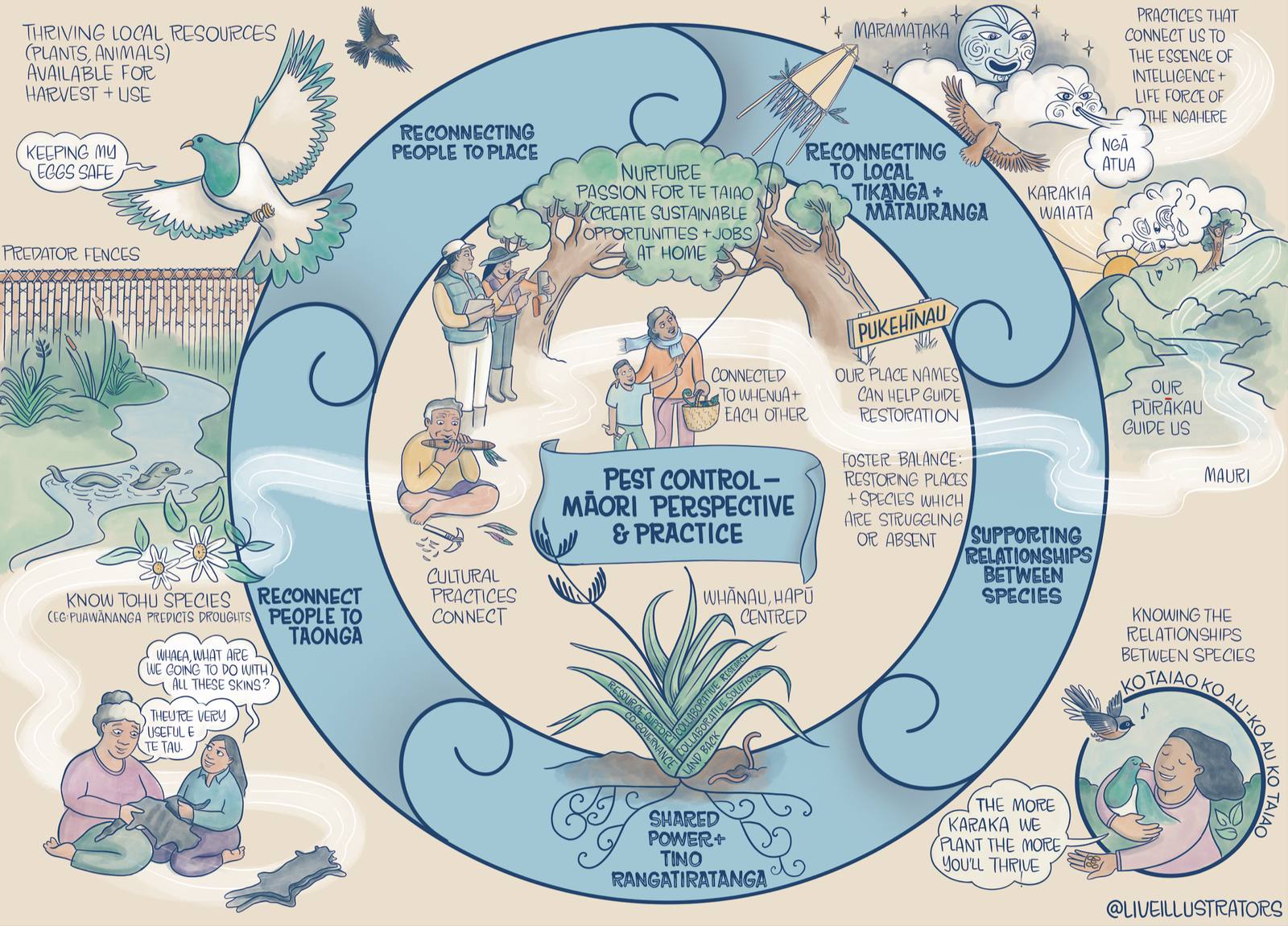 Nature Works Better — Māori Pest Control illustration