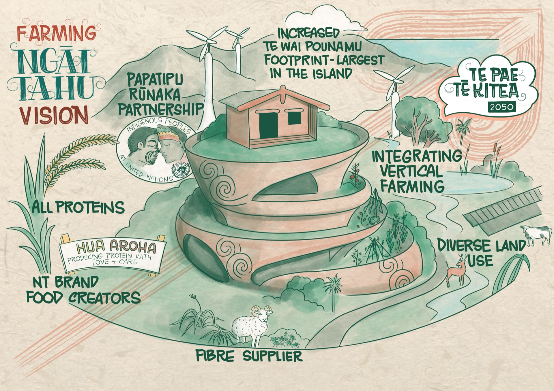 Ngāi Tahu — vision illustration