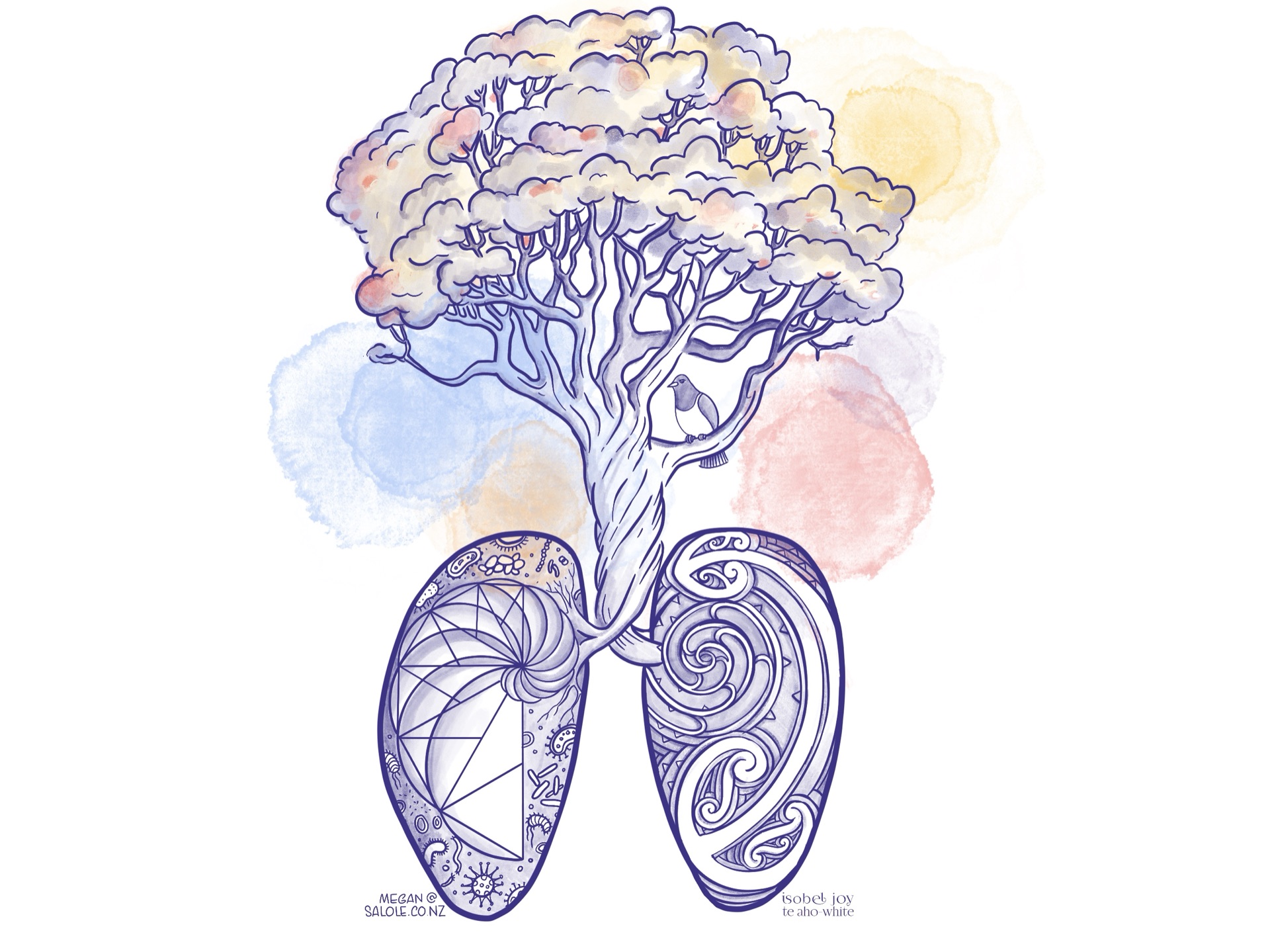 Te Tiriti — illustration